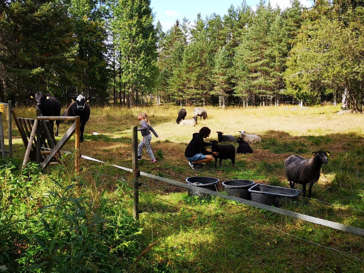 Trysunda Vandrarhem & Skaergardscafe Eksteriør bilde